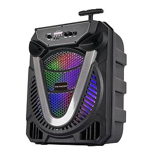 PARLANTE PORTATIL RADIO-BLUETOOTH 10W PANACOM SP3118