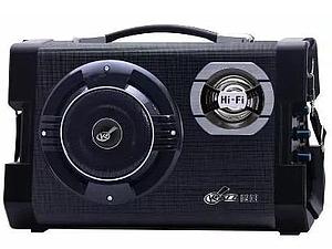 MULTIREPRODUCTOR PORTATIL 20W USB-SD STROMBERG DS8